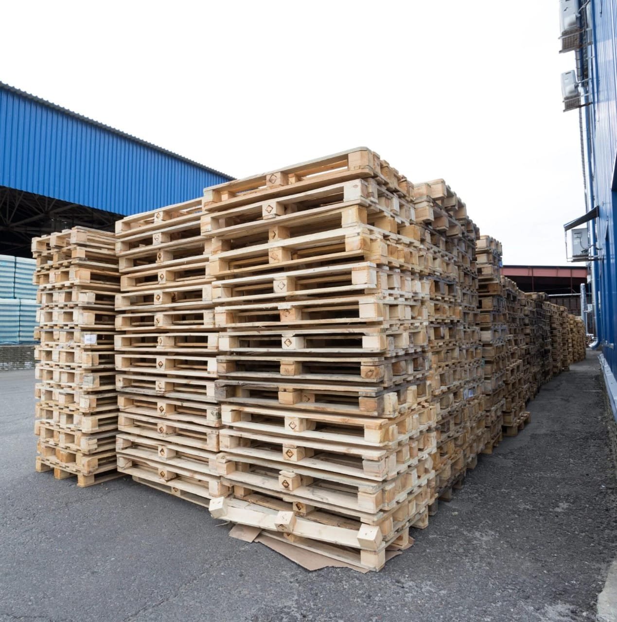 Wooden-Pallet4 Heavy Duty Wooden Pallets Liquidation Pallet — liquidation pallet photo 4